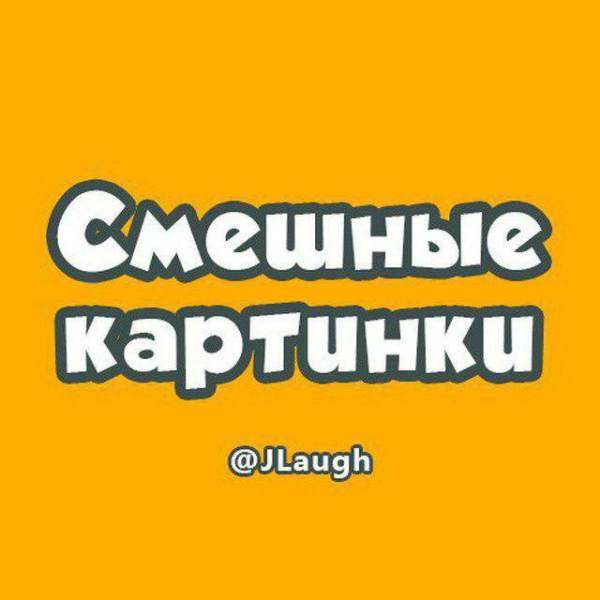 Смешные картинки