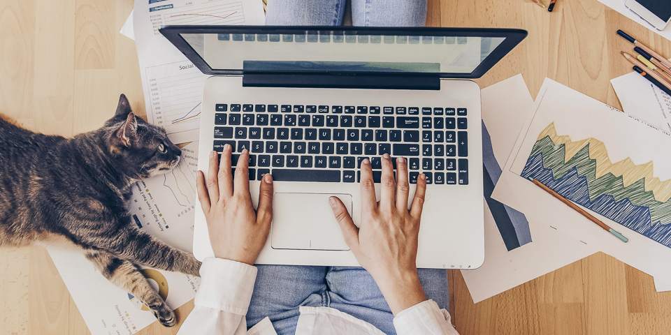 ⭐️Работа в интернете или на удАлёнке